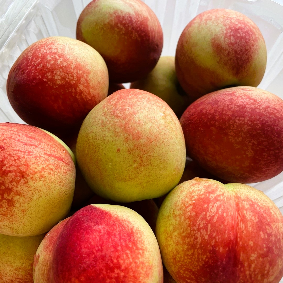 고당도 신비복숭아 신선복숭아 제철 산지직송  1kg/2kg/3kg