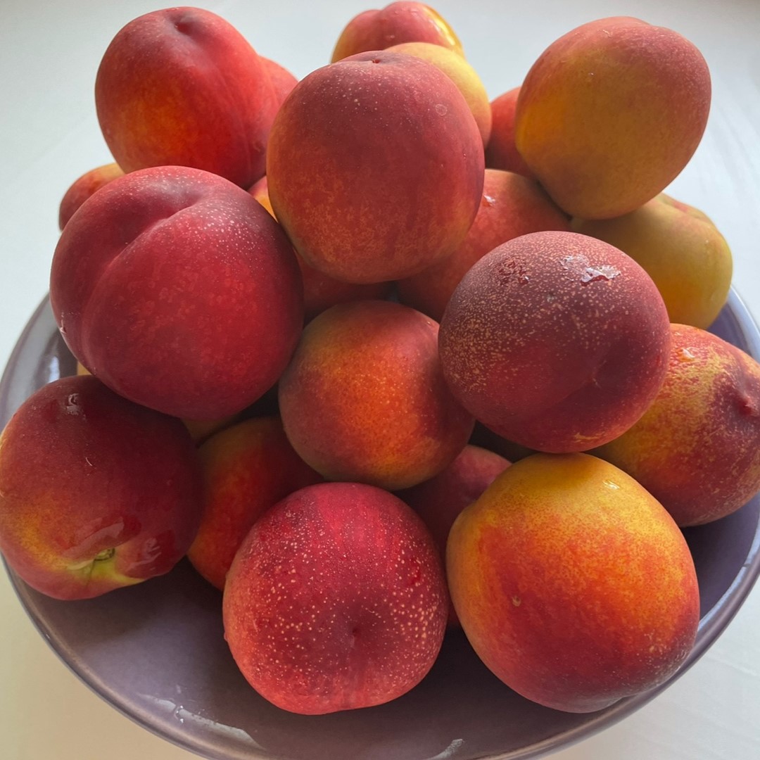 복숭아 천도복숭아 복숭아제철 신선복숭아 천도 제철 산지직송 1kg/2kg/3kg