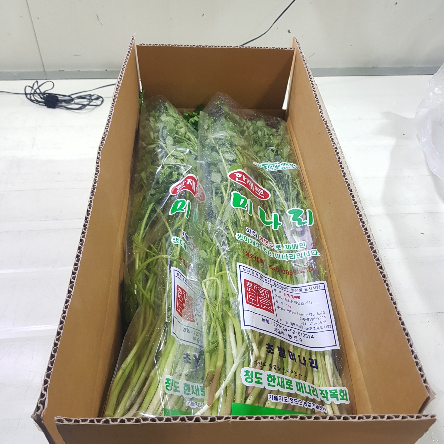 당일 새벽에 작업한 청도 한재 미나리 4kg(벌크용, 김장용, 식자재용, 대용량)