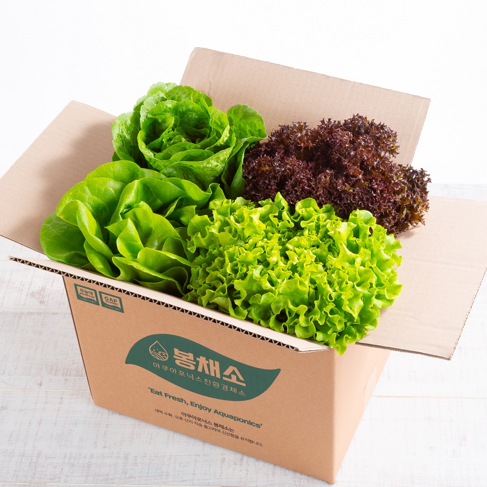 [봉채소] 아쿠아포닉스 친환경 무농약 유럽 채소 꾸러미 600g