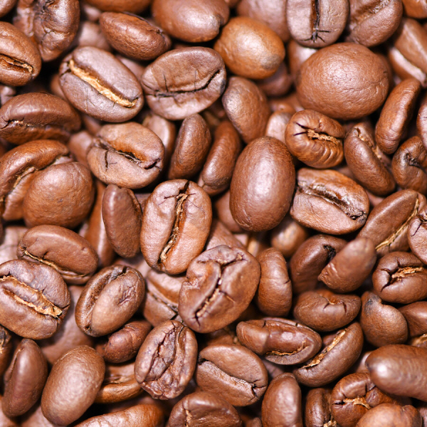 매뉴팩트커피 카멜리아 블렌드