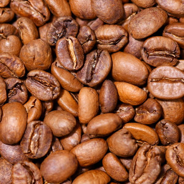 매뉴팩트커피 샌 프란시스코 블렌드