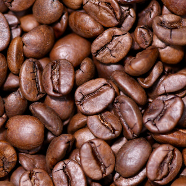 매뉴팩트커피 오름 블렌드