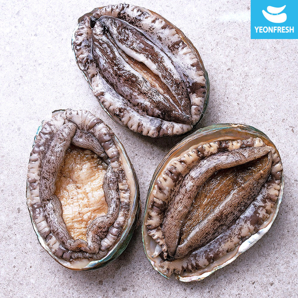 완도활전복 1kg 사이즈별 모음전