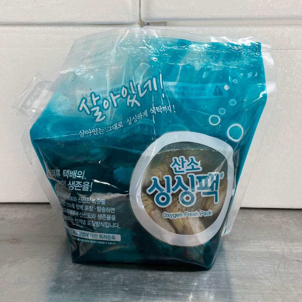 국내산 순천만 맛조개 500g 20-25미 내외