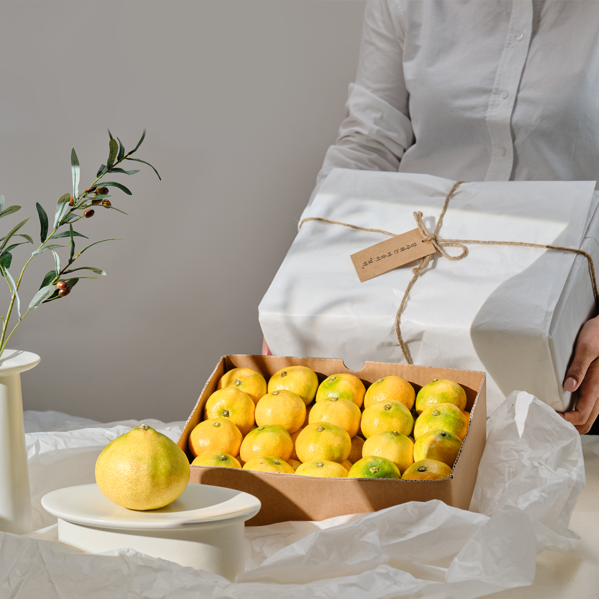 제주도 귤 선물세트 3kg/5kg