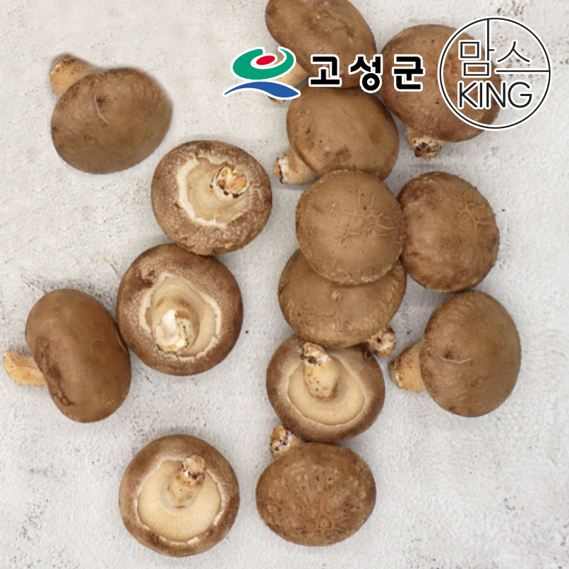 [공룡나라]고성 웅이표고농장 생표고/건표고버섯