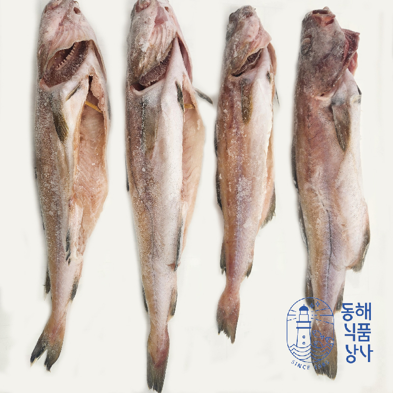 [동해식품상사] 국내산 동해 손질 대구 2kg (4~5 마리)