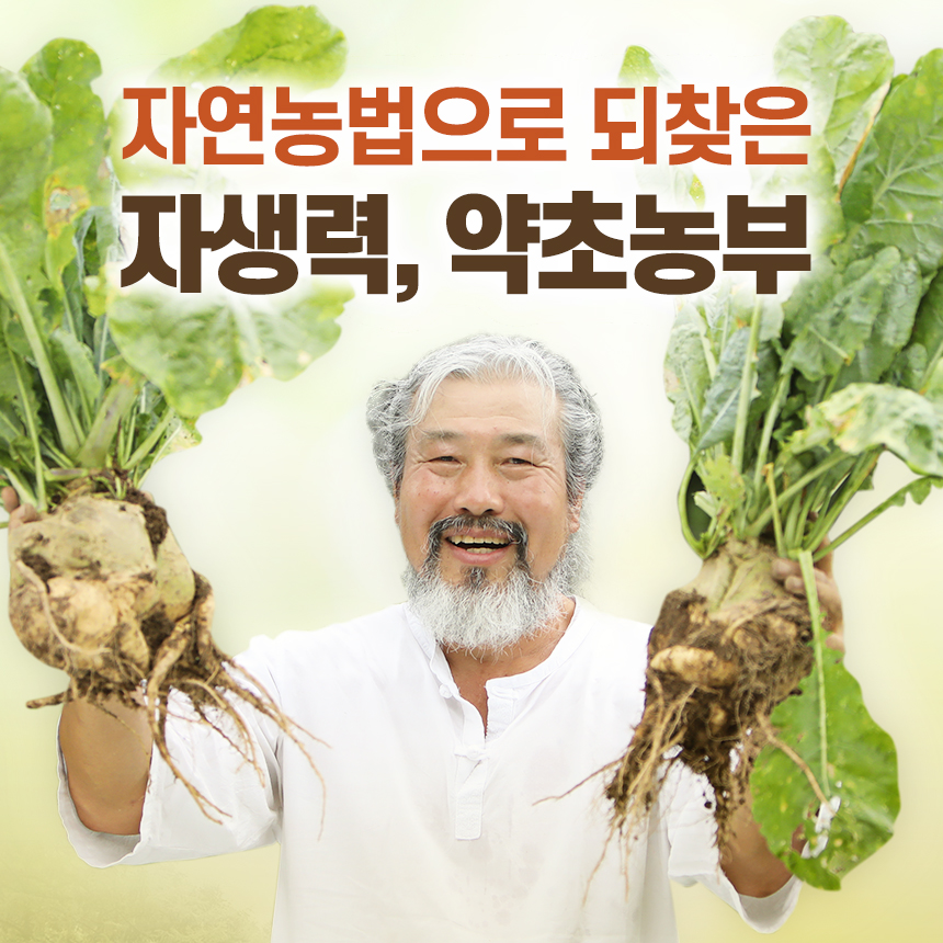 친환경 자연건조 토종무차 70g