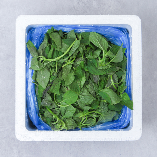 깻잎순 나물 깻순 깨순 1kg