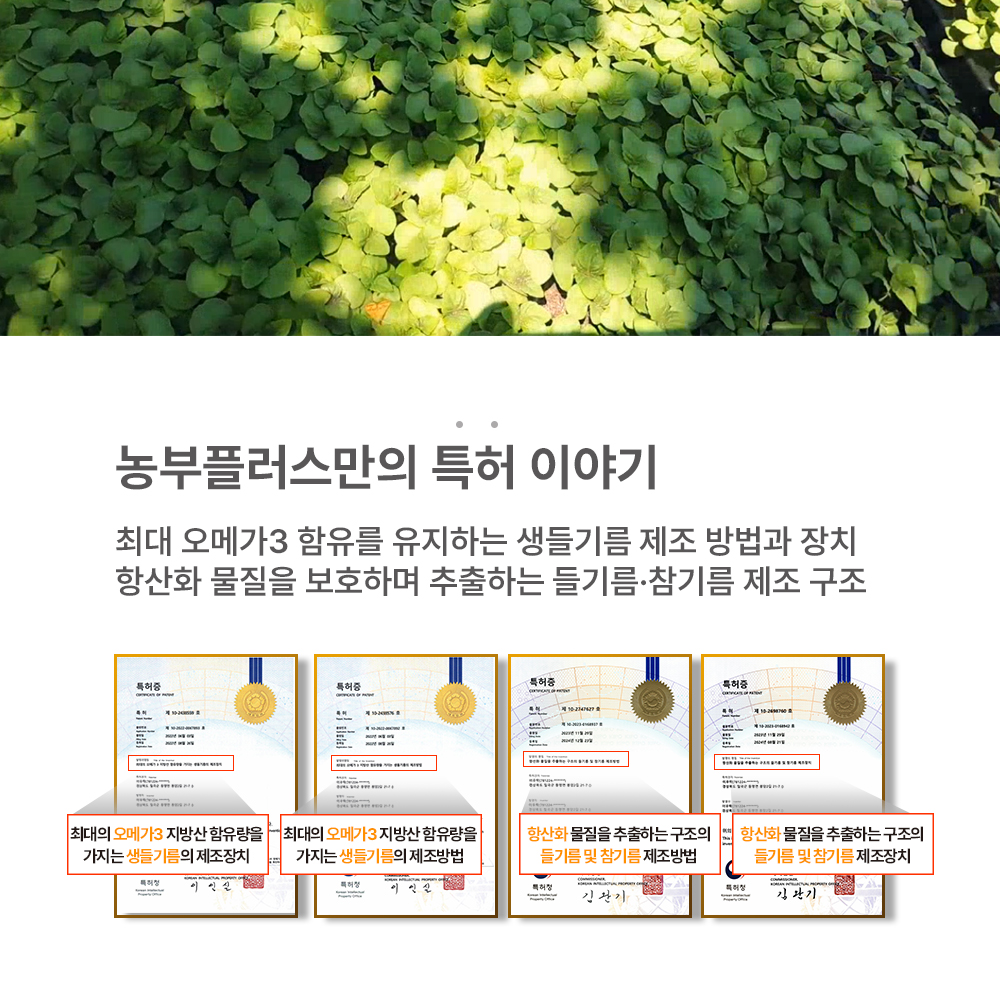 농부플러스 국산 냉압착 생들기름 오메가3 스틱 선물세트 5g 30개입