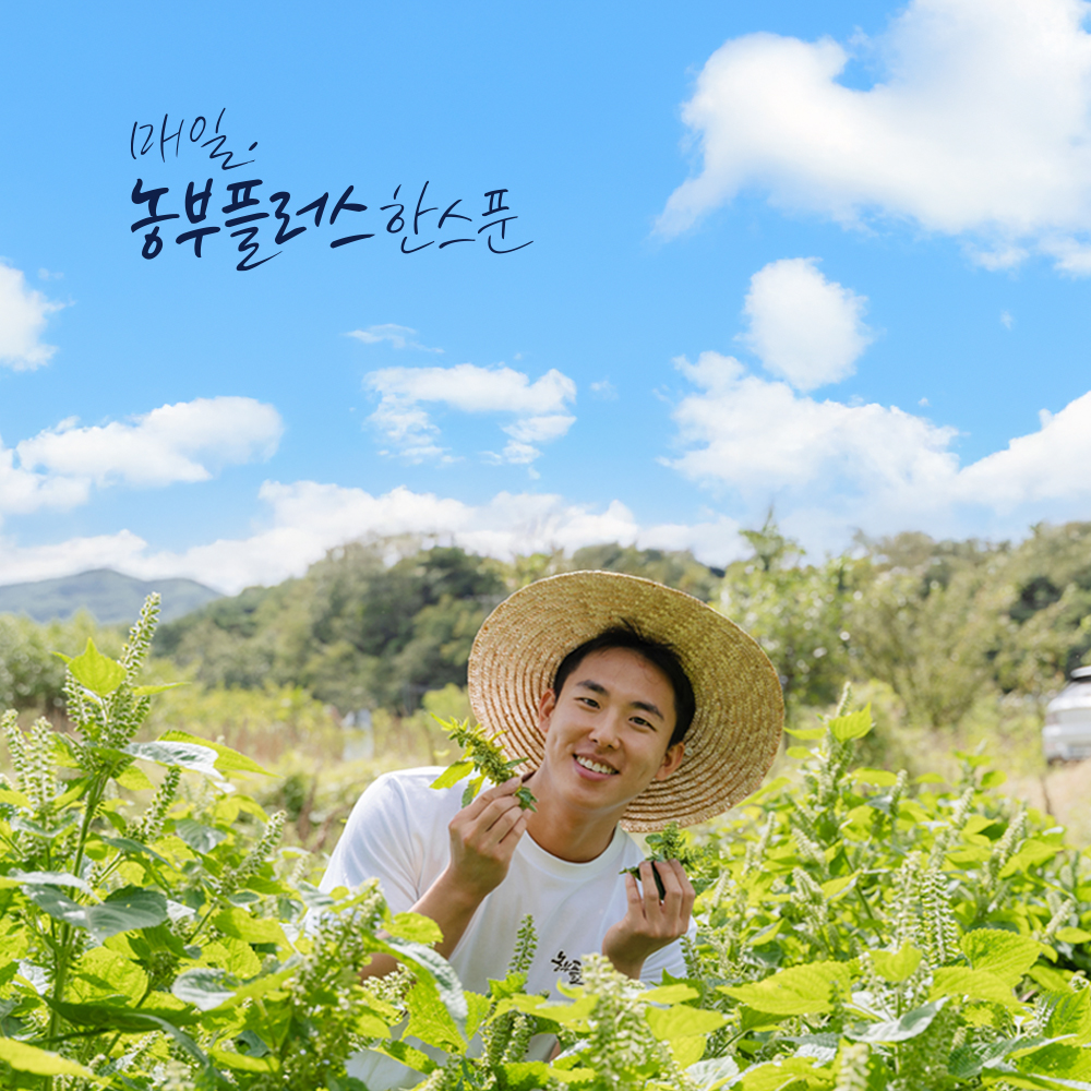 농부플러스 국산 냉압착 생들기름 오메가3 스틱 선물세트 5g 30개입
