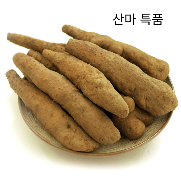 산지 직송 안동 참마 산마 장마 2kg