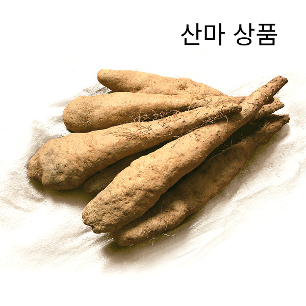 산지 직송 안동 참마 산마 장마 2kg