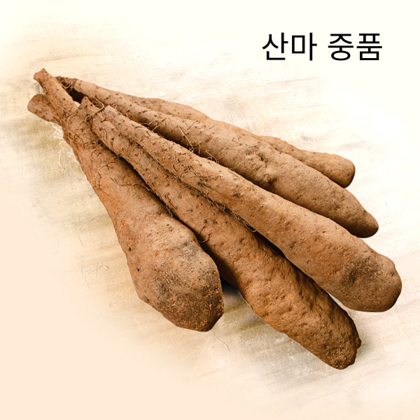 산지 직송 안동 참마 산마 장마 2kg