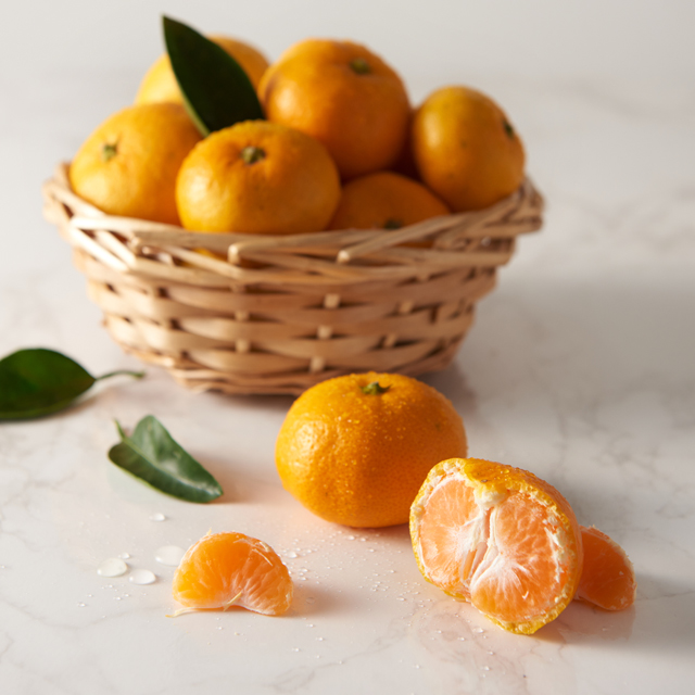 가장 맛있는 귤 품종! 이와사키 하우스귤!