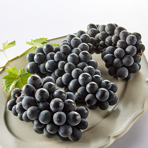 GAP 달콤 캠벨포도(1kg/3수)