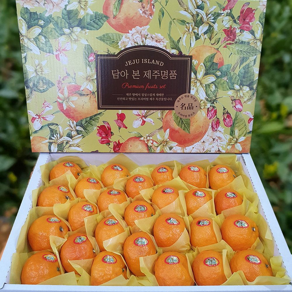 첫수확 제주 카라향 고당도 가정용 선물용 제철 과일 선물 세트