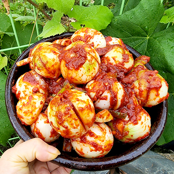 아삭 달큰한 햇양파김치 1kg