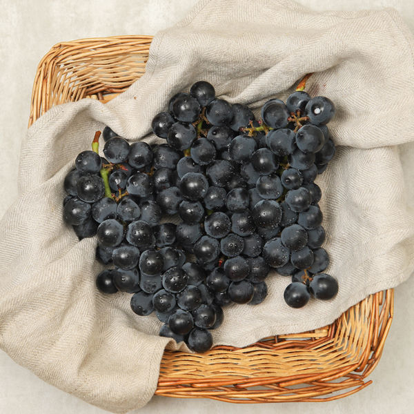 제철 캠벨포도 1kg 1.5kg 3kg 4kg