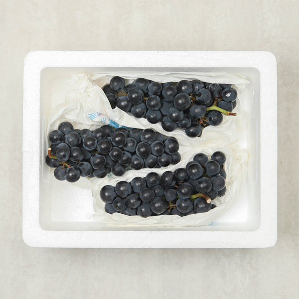 제철 캠벨포도 1kg 1.5kg 3kg 4kg