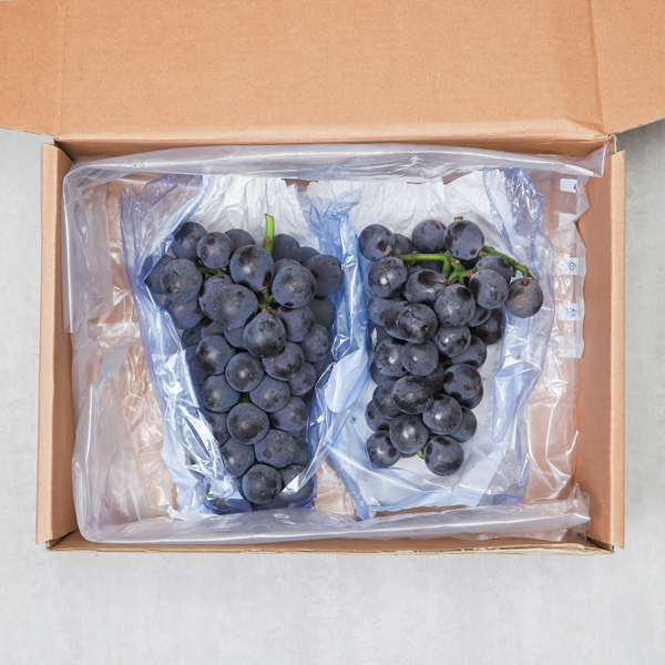거봉 거봉포도 1kg 2kg