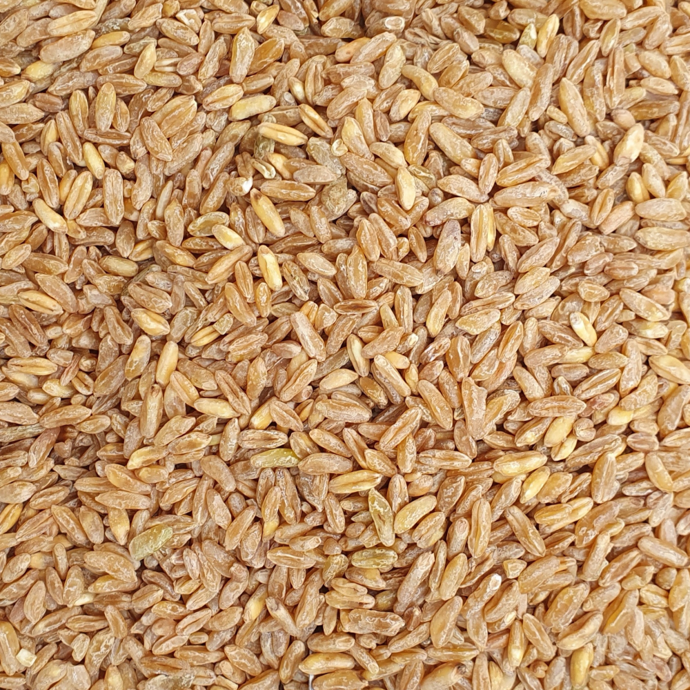 국내산 유기농 호라산밀(300g)