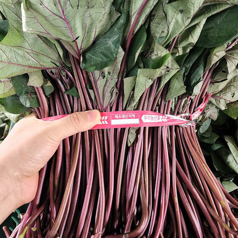 국내산 홍 청 고구마순 고구마줄기 1kg