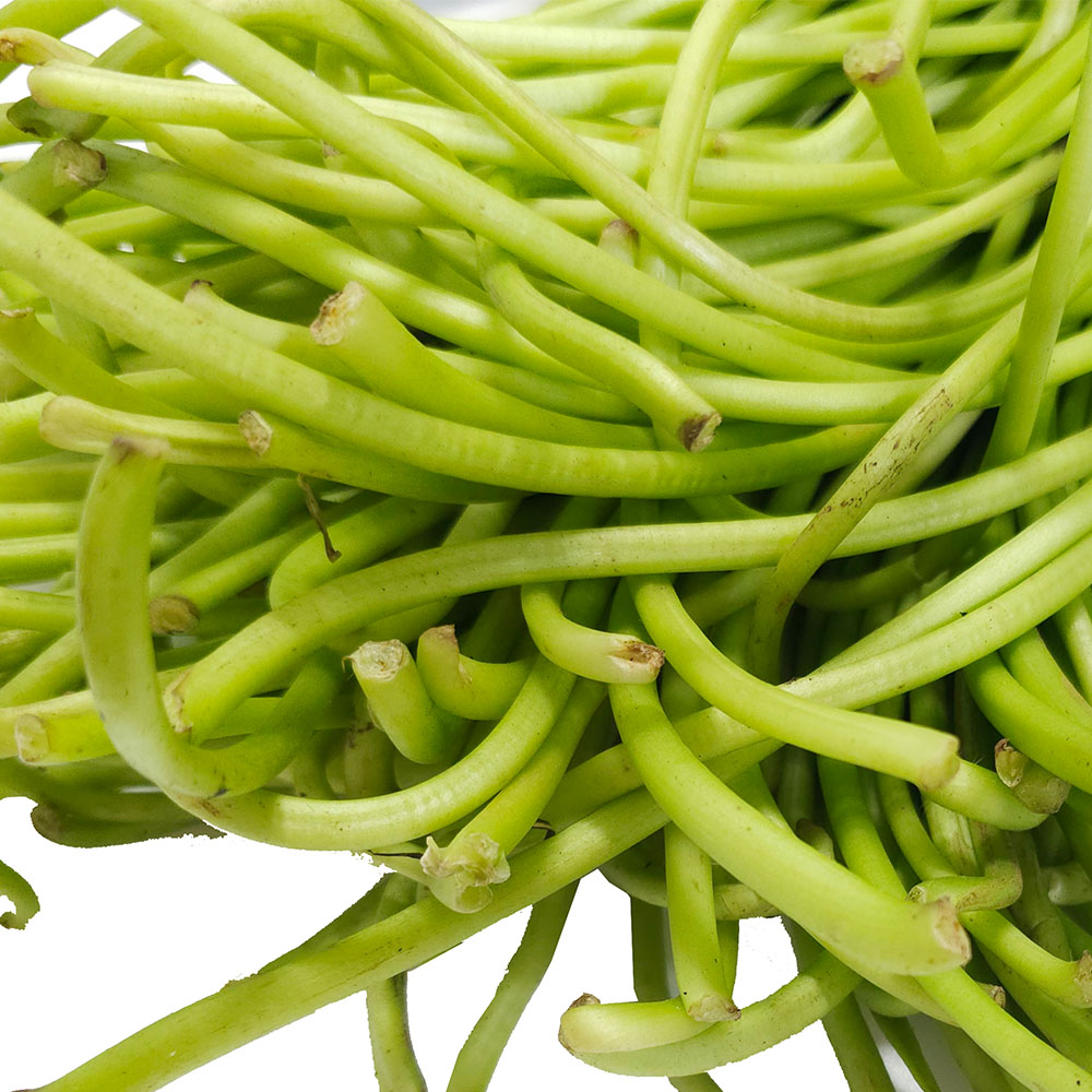 국내산 홍 청 고구마순 고구마줄기 1kg
