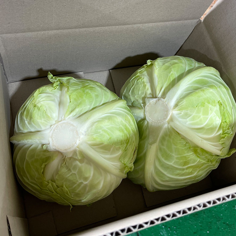 국내산 양배추 2통 3kg 4통 6kg내외