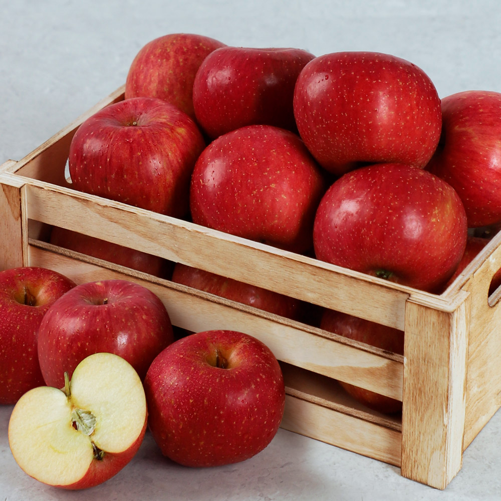[오늘아침사과] 오늘아침 꿀맛사과 (택1)