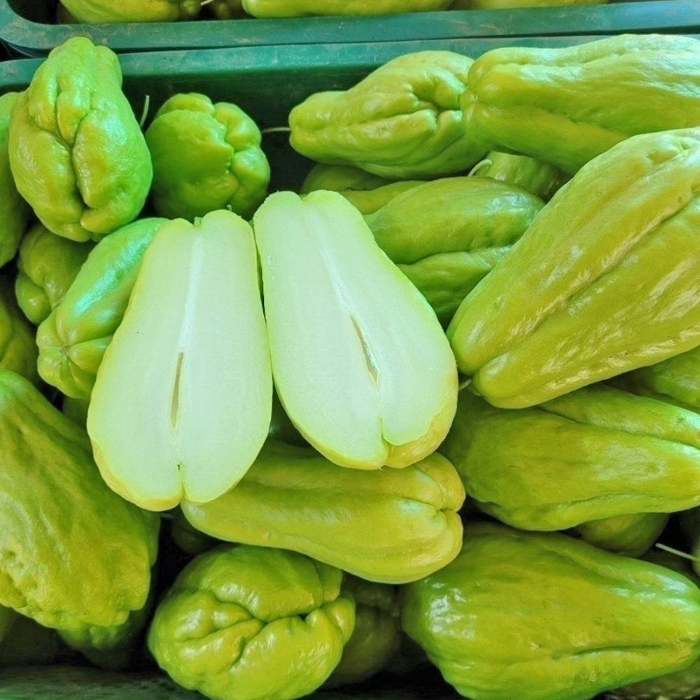 국내산 햇 차요태 생 차요테 1kg 동남아 식재료