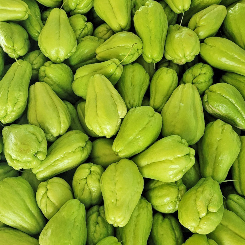 국내산 햇 차요태 생 차요테 1kg 동남아 식재료 대표이미지 섬네일