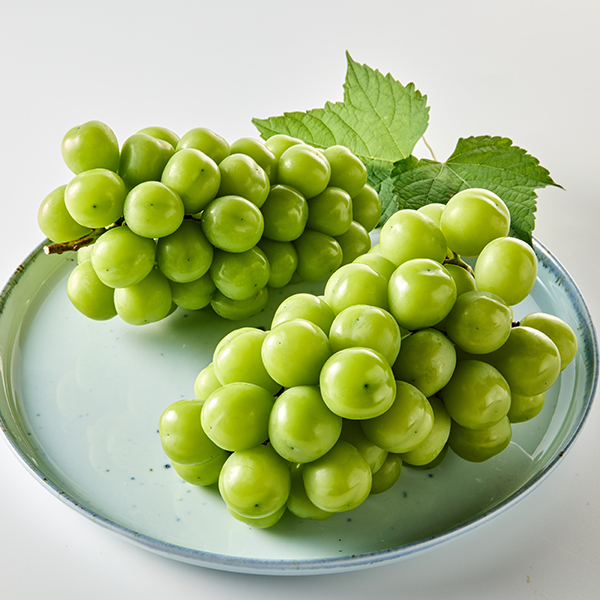 [농할20%쿠폰] 유명산지 샤인머스캣 1.5kg(2-3수) 대표이미지 섬네일