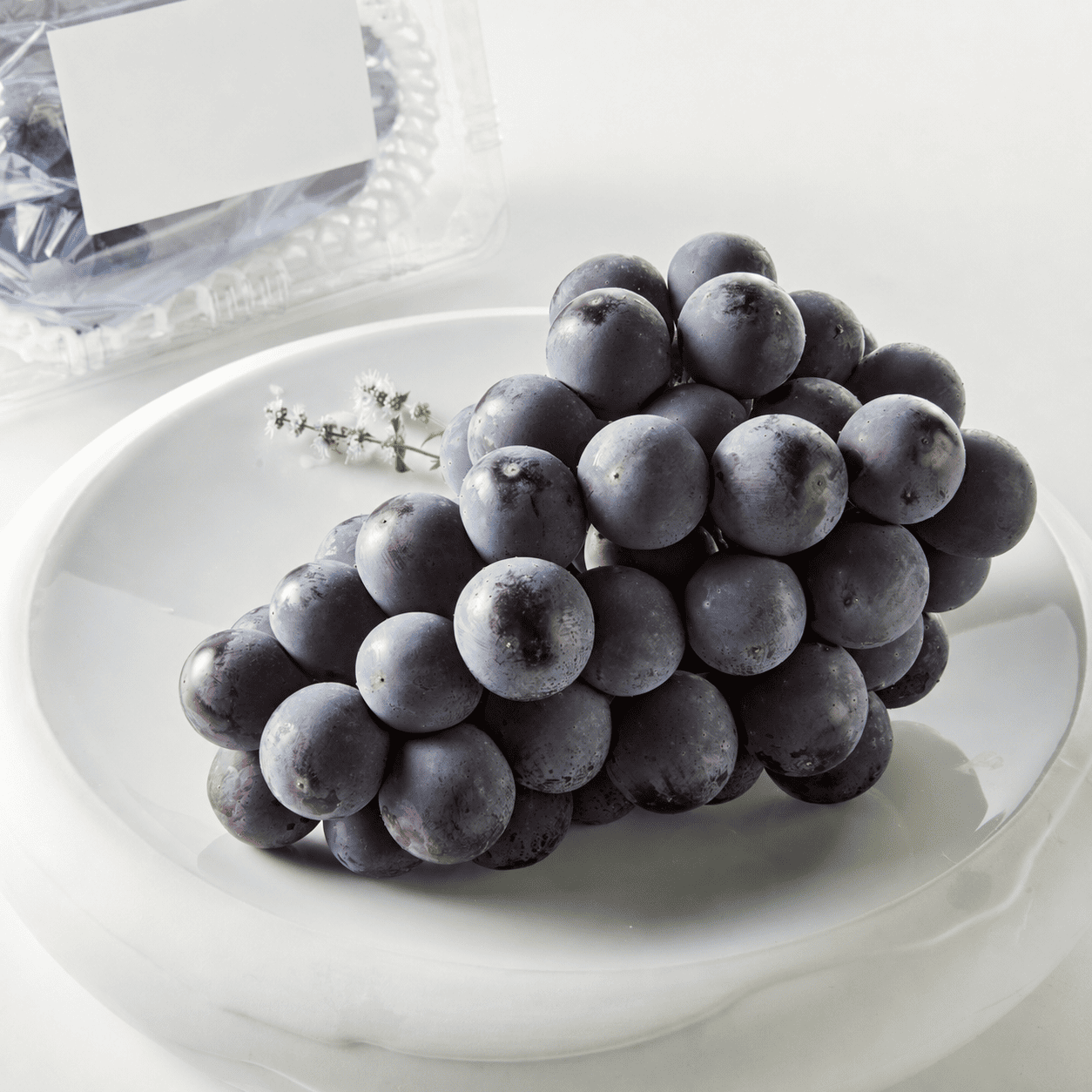 국산 거봉 600g