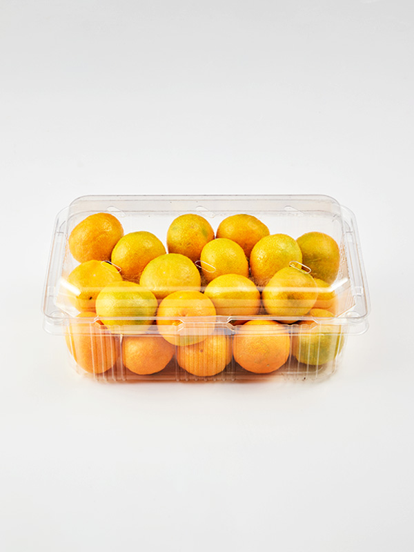 GAP 하우스감귤(1kg/꼬마과)