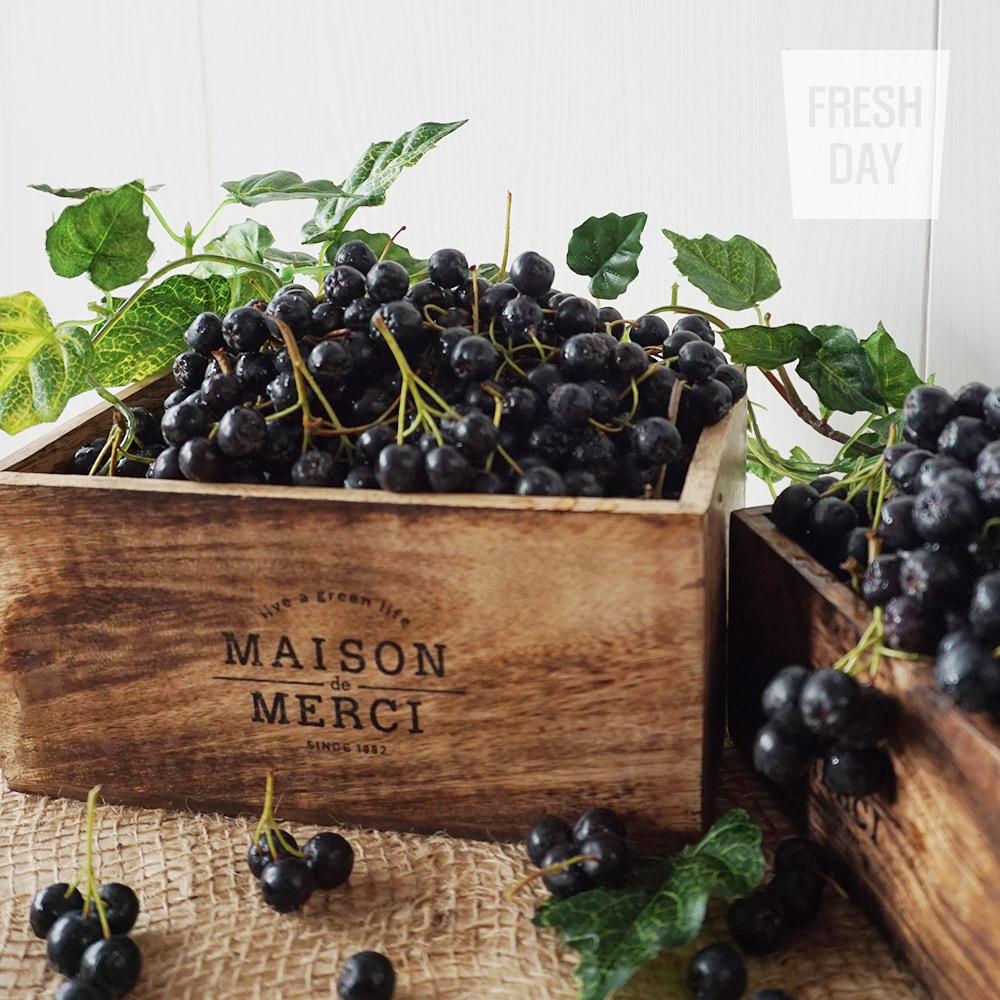 [프레시데이] 고창 프리미엄 아로니아 냉동생과 5kg/10kg