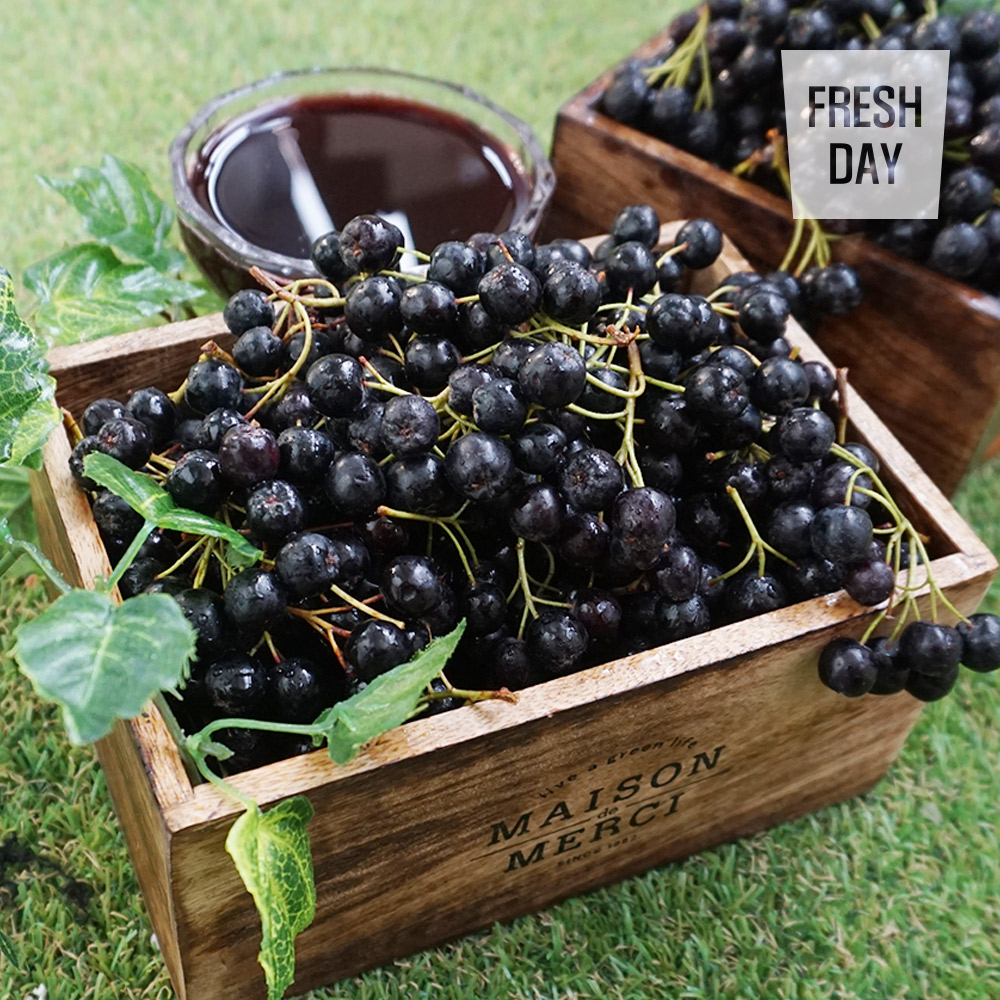 [프레시데이] 고창 프리미엄 아로니아 냉동생과 5kg/10kg