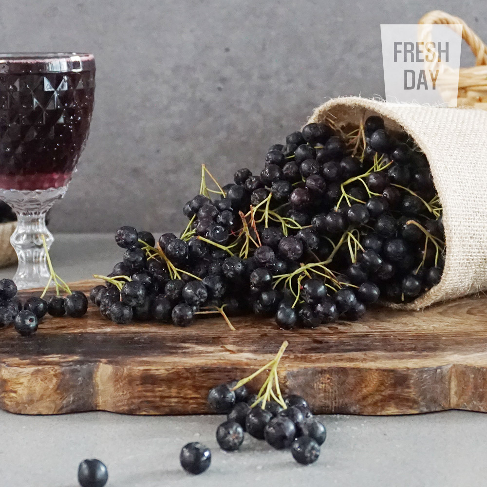 [프레시데이] 고창 프리미엄 아로니아 냉동생과 5kg/10kg