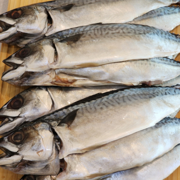 다대포 참고등어 자반(대) 30-35CM 10마리(3.2KG)