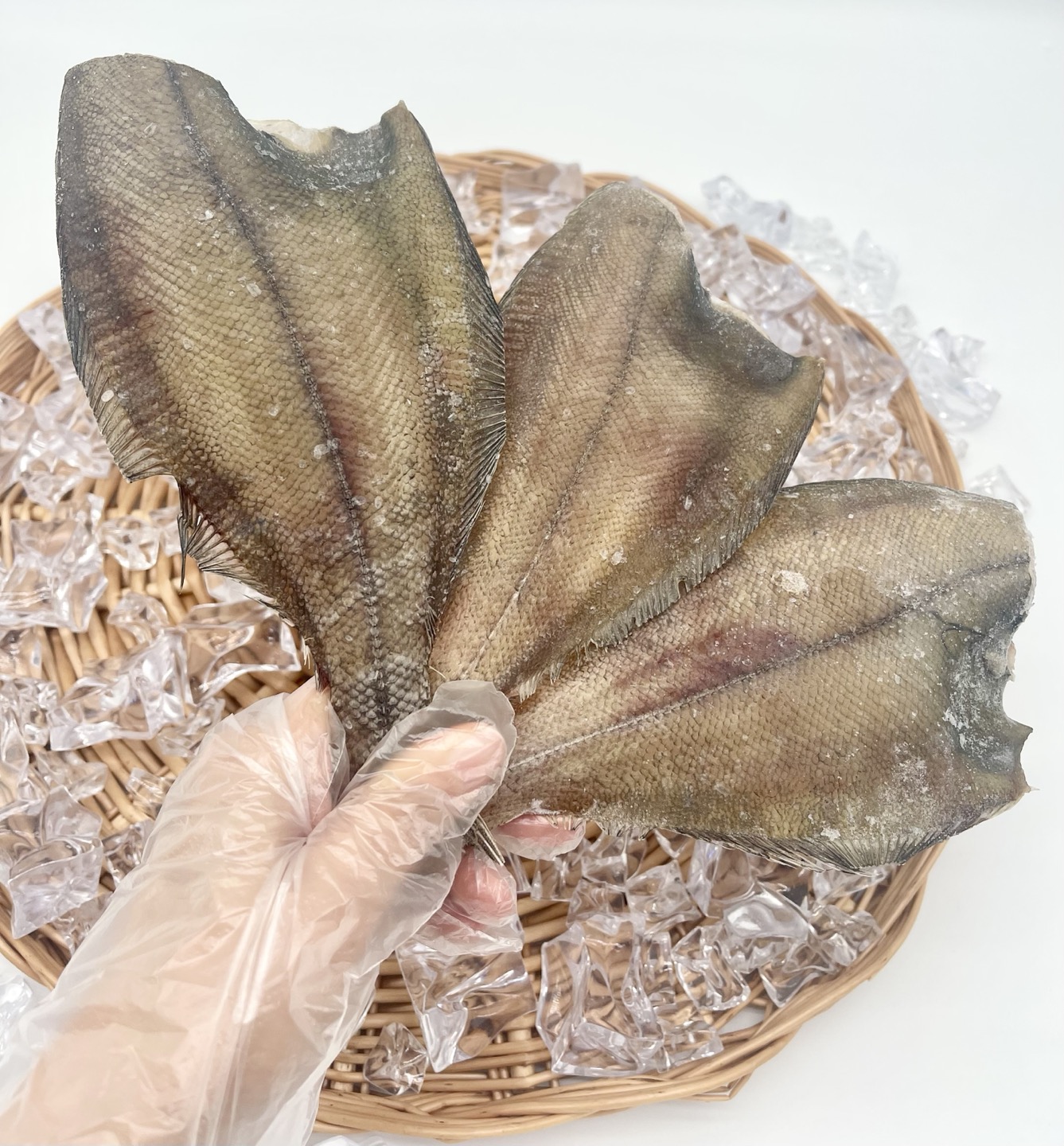 동해안 가자미 순살 손질가자미 반건조가자미 가재미 국내산 2-3미