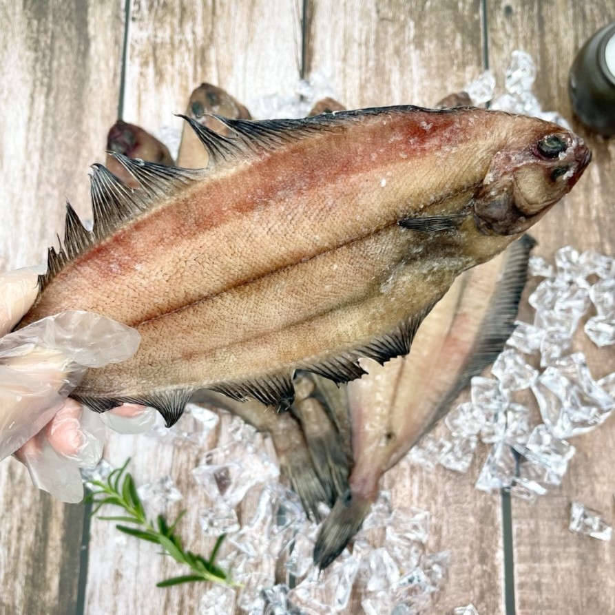 동해안 가자미 순살 손질가자미 반건조가자미 가재미 국내산 2-3미