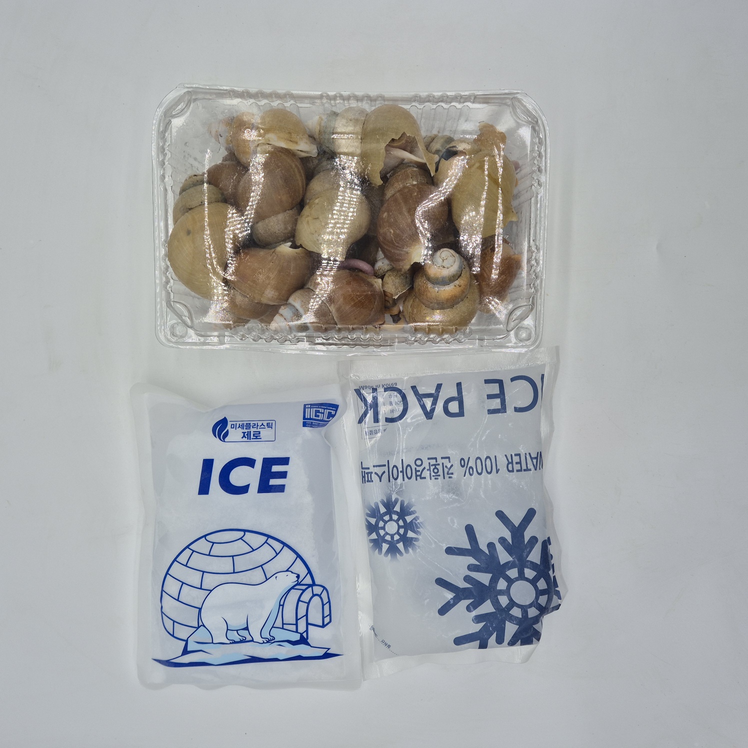 백골뱅이 자숙 백고동 백골뱅이제철 백골뱅이탕 300g