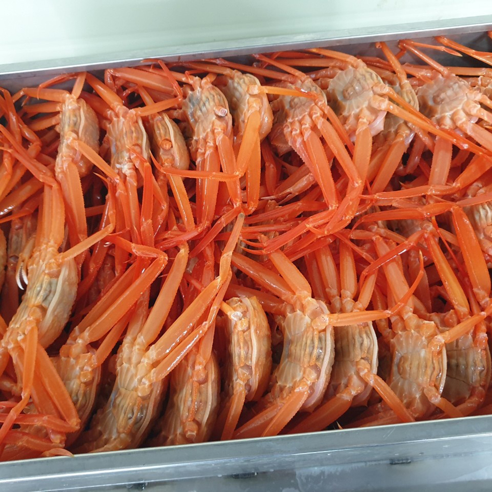 선주직송 수율80% 포항 구룡포 자숙 연지홍게 특A급 2kg(6~7미)