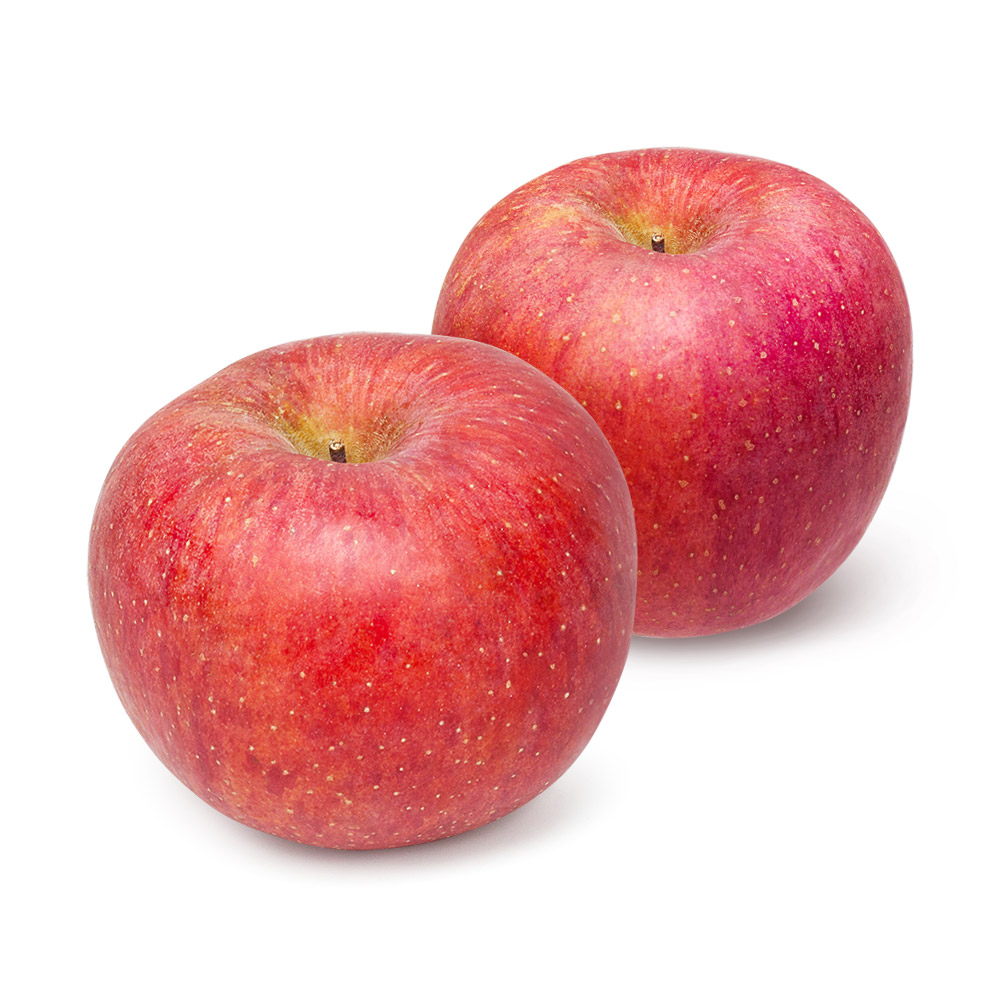 갑봉이네 고랭지 유명산지 정품 사과 햇사과 5kg