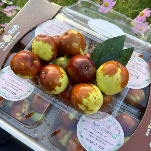 GAP 저탄소 아삭달콤 하우스 사과대추