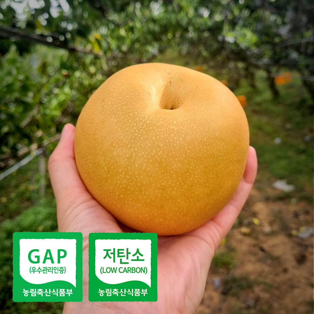 산청 GAP 저탄소 배 5kg 7.5kg 과일 선물 가정용 일반용