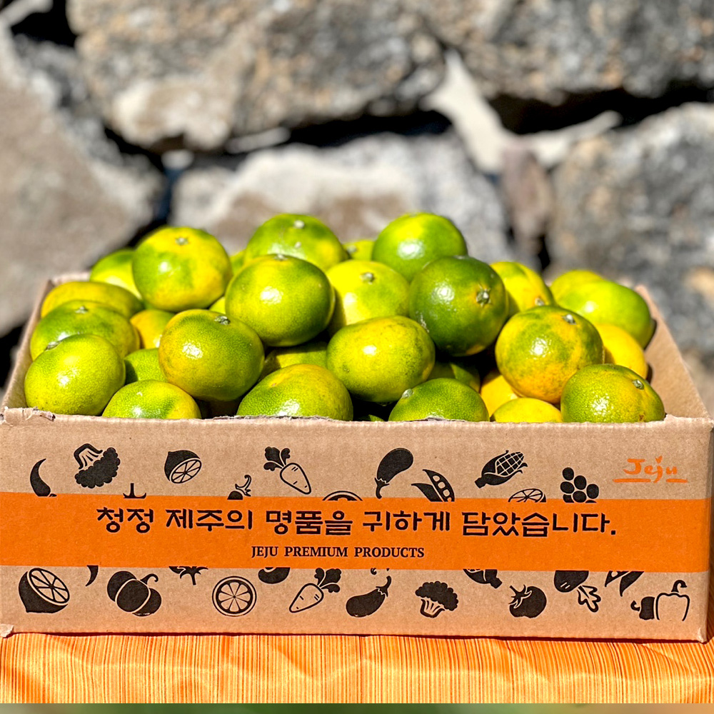 산지직송 제주 서귀포 극조생 노지 감귤 4.5kg 9kg 로얄과 프리미엄 성공