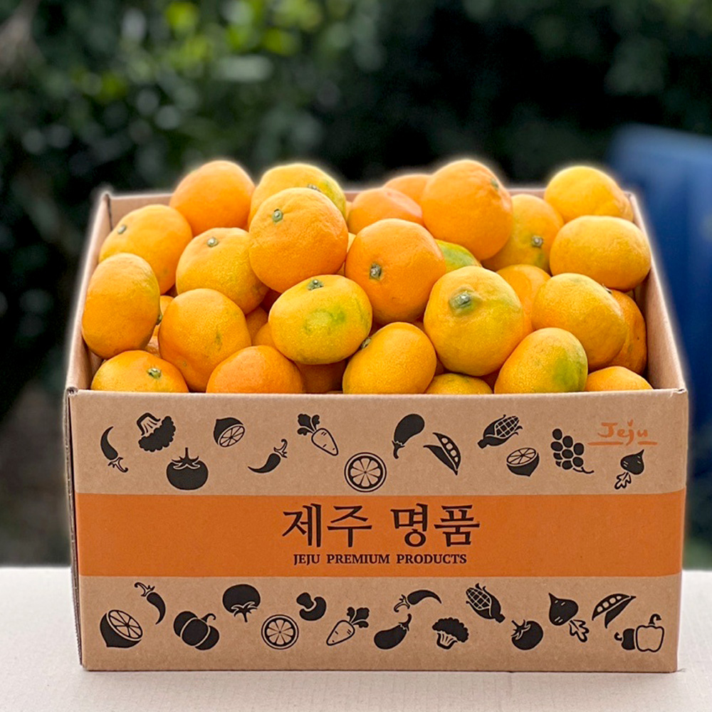 산지직송 제주 서귀포 극조생 타이벡 감귤 2.5kg 4.5kg 9kg 로얄과 프리미엄 성공