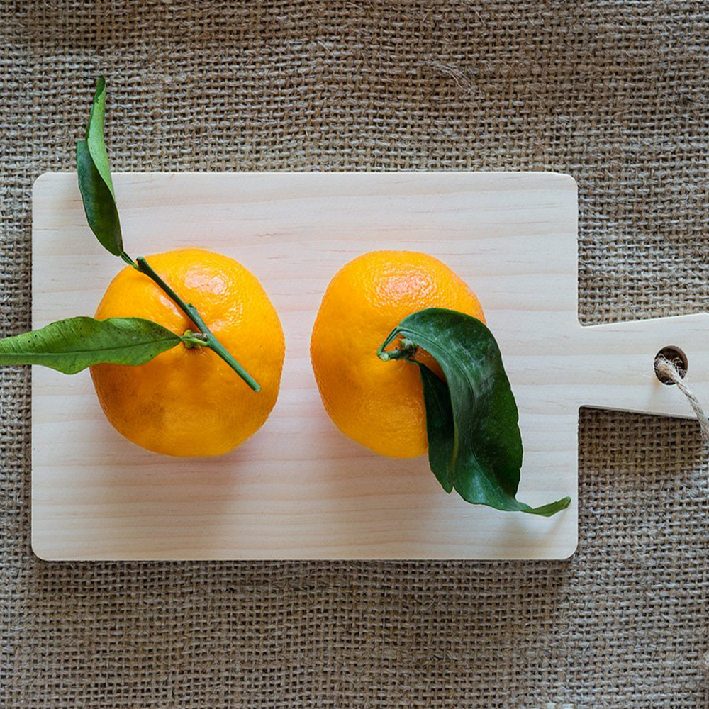 산지직송 제주 서귀포 극조생 타이벡 감귤 2.5kg 4.5kg 9kg 로얄과 프리미엄 성공